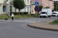 kobieta z psem przechodzi przez ulicę