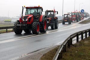 Zdjęcie przedstawia ciągniki rolnicze na drodze.